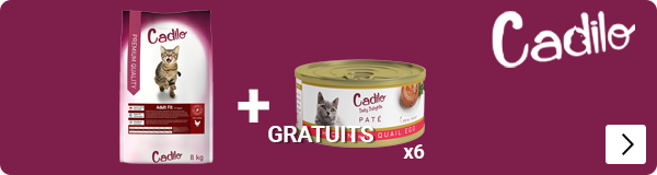 Cadilo droog met gratis 6x natvoer CAT